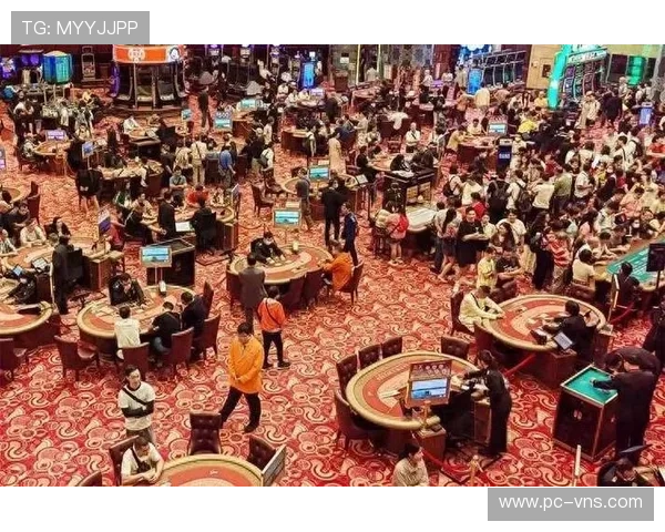 新葡京赌场：评析新葡京赌场的优惠政策与会员制度，为常客提供更多尊享权益