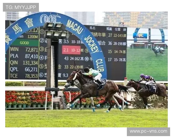 澳门宣布4月停止赛马活动,相关从业人员面临调整与转型挑战 澳门宣布4月停止赛马活动,相关从业人员面临调整与转型挑战