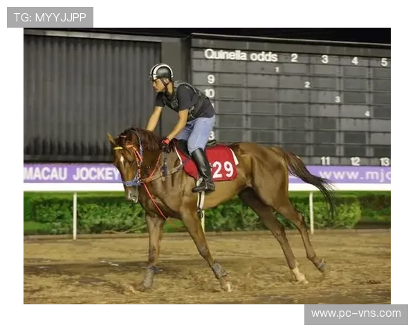 一站式澳门赛马资讯平台，提供最新赛马新闻、赛事直播及赛马技巧分享